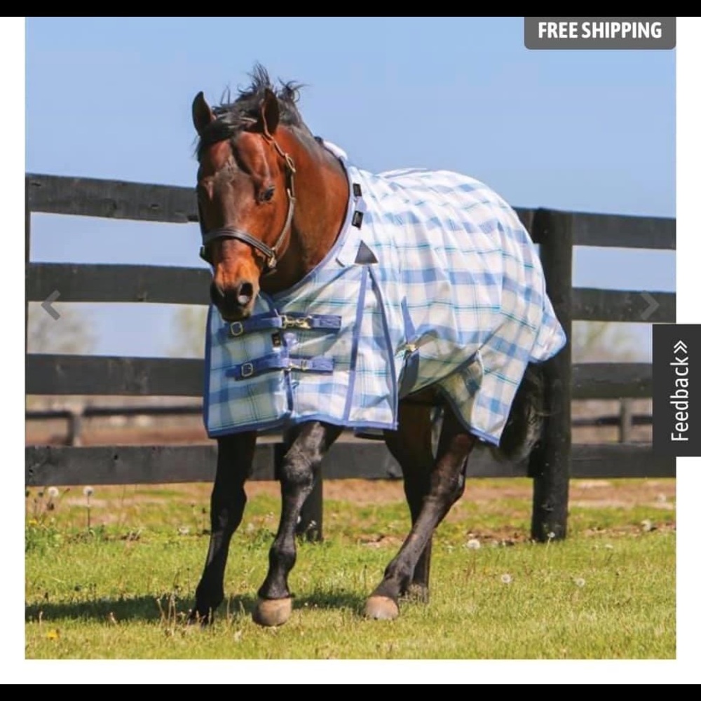 ISO fly sheet. 80-82”